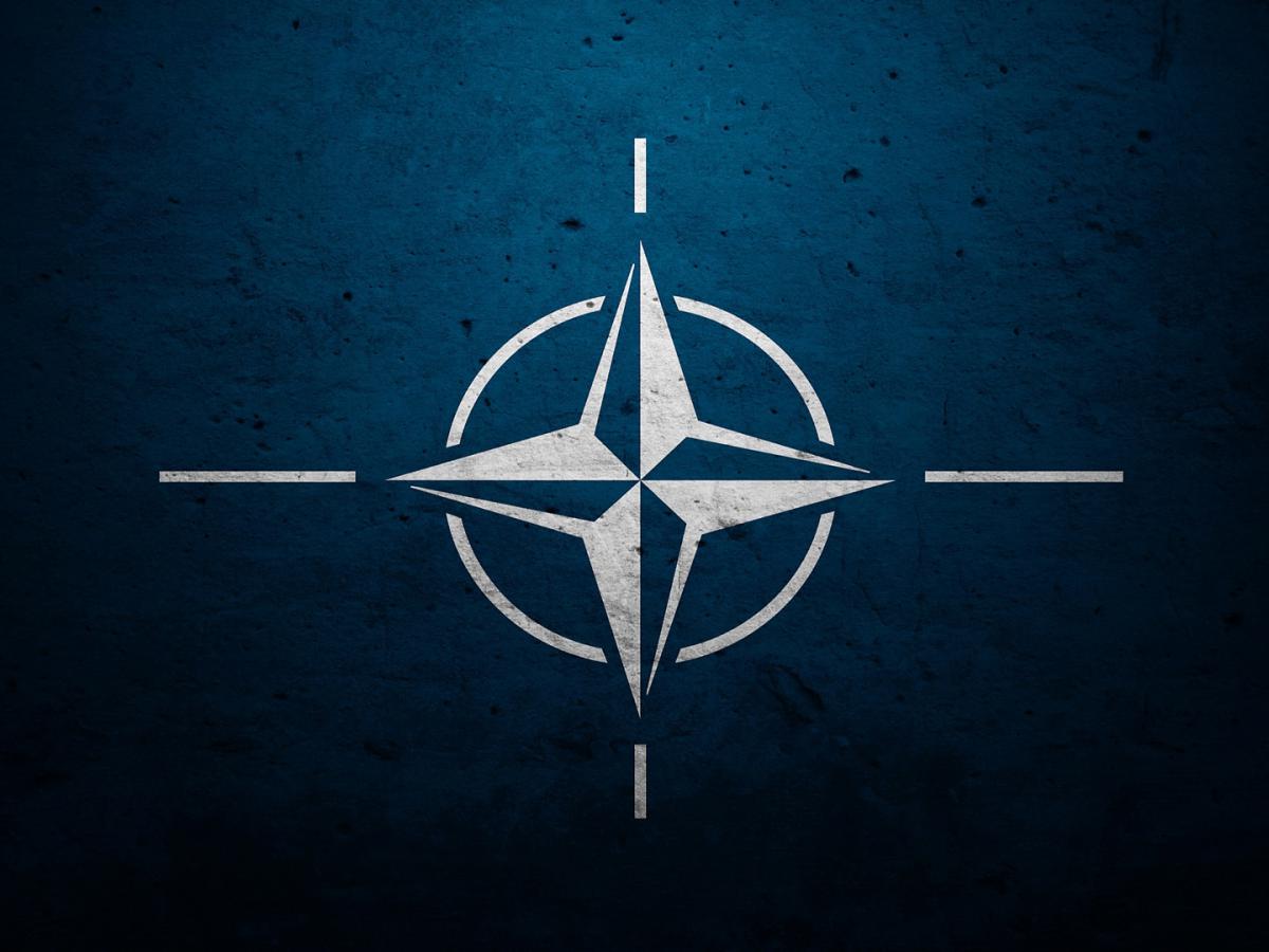 Des mouvements intenses d'avions de l'OTAN sont signalés près des frontières de l'Ukraine